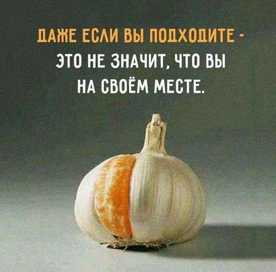 т 1 ік И ЭТО НЕ ЗНАЧИТ ЧТО вы НА СВОЁМ МЕСТЕ