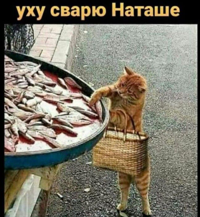 уху сварю Наташе
