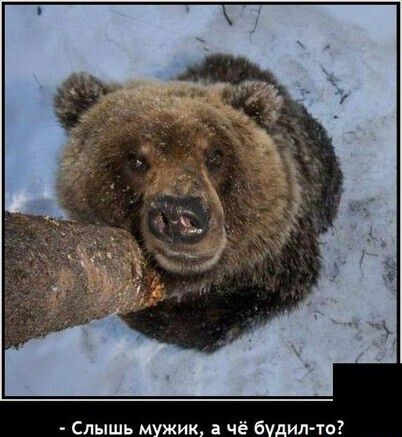 Слышь м жик а чё 6 ил то