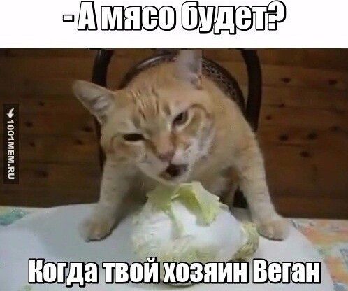 твой ядами