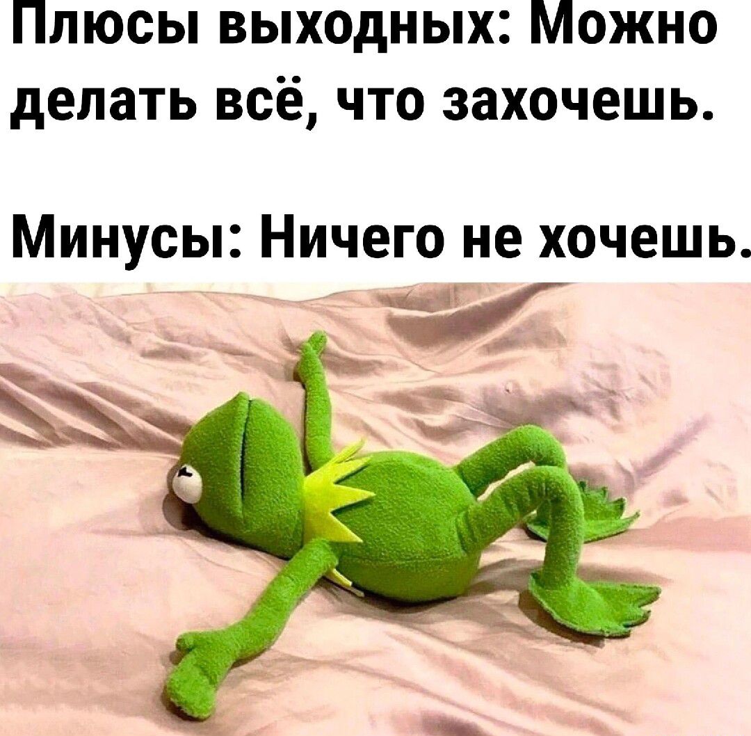 Плюсы выходных Можно делать всё что захочешь Минусы Ничего не хочешь