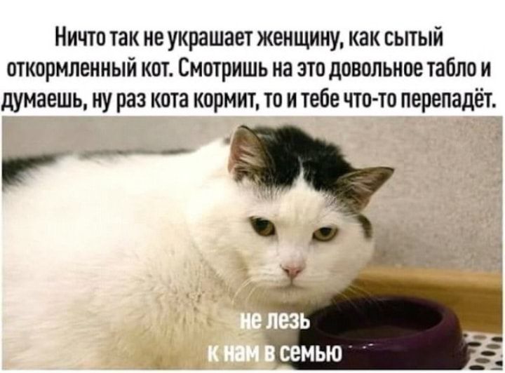 Ничю так не украшаеж женщину кзк сьпый пткормлениый КОТ СМПШИШЬ иа ЗТП дпвпльноетабло И думаешь ну раз кота кормит то и тебе что тп перепадёт
