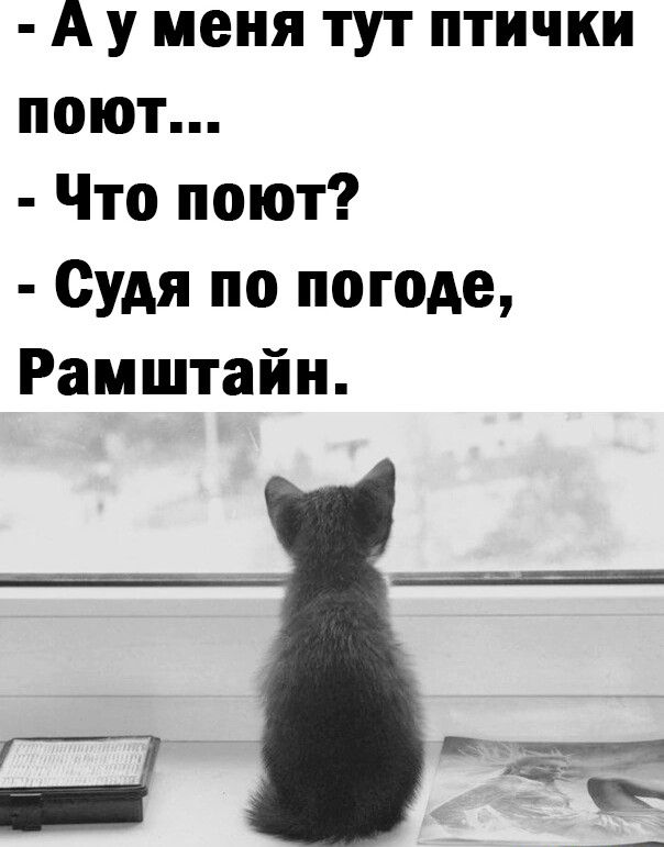 А у меня тут птички поют Что поют Судя по погоде Рамштайн