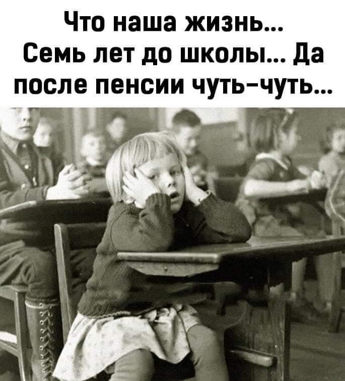 Что наша жизнь Семь лет до школы да после пенсии чуть чуть