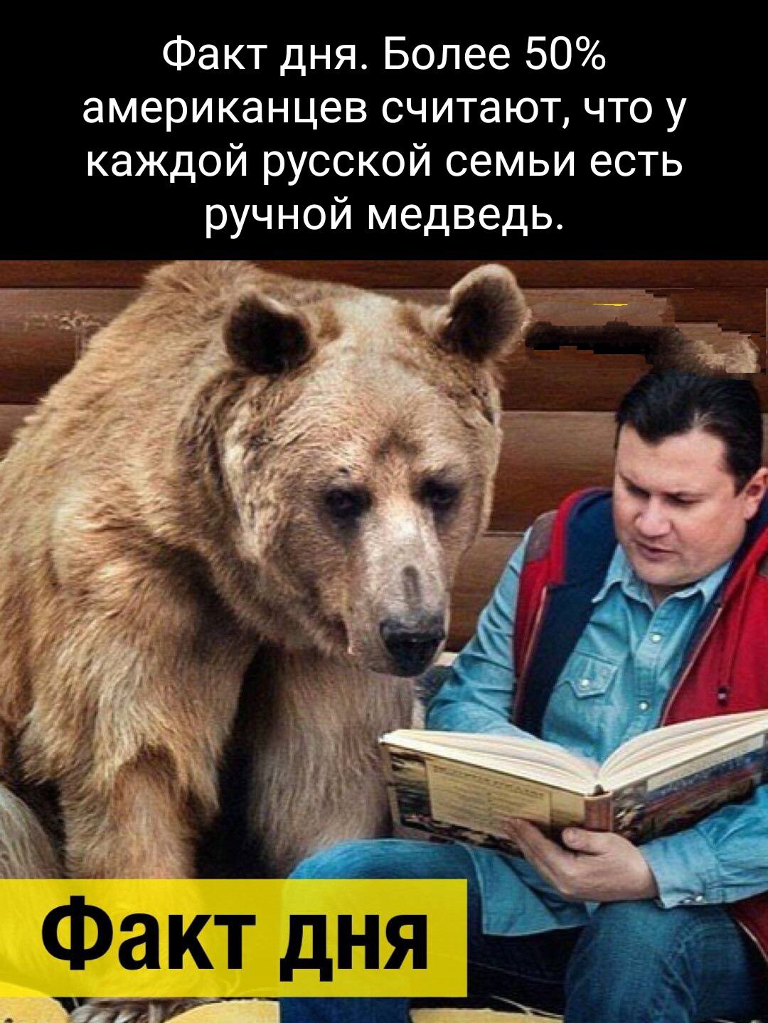 Факт дня Более 50 американцев считают что у каждой русской семьи есть ручной медведь
