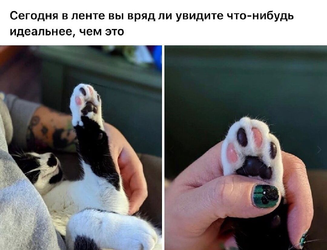 Сегодня в ленте вы вряд ли увидте что нибудь идеапьнее чем ЭТО