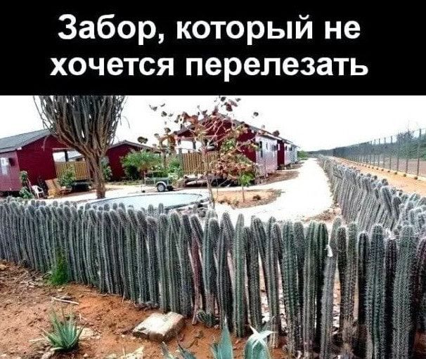Забор который не хочется перепезать у
