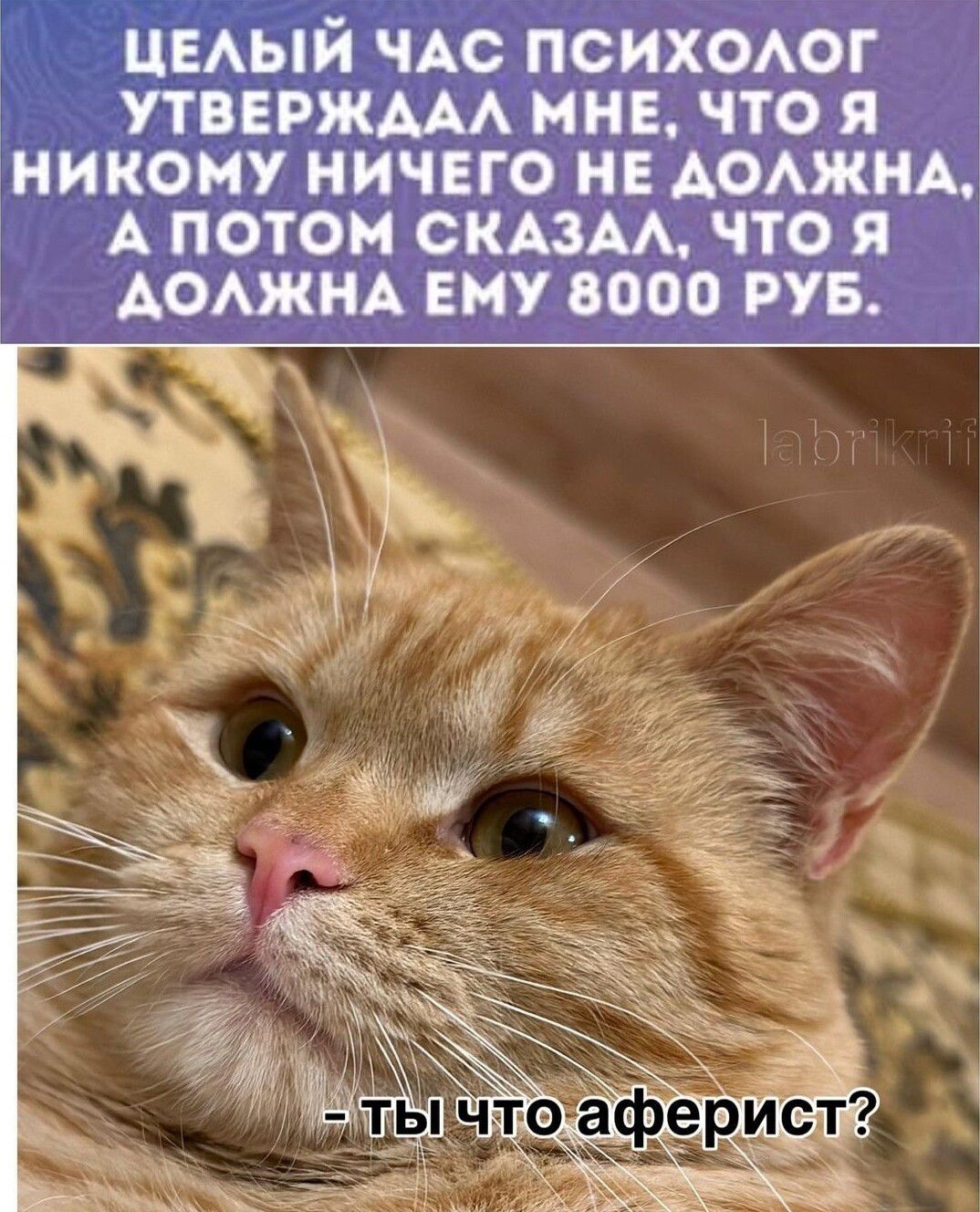 ЦЕАЫЙ ЧАС ПСИХОАОГ УТВЕРЖААА МНЕ ЧТО Я НИКОМУ НИЧЕГО НЕ АОАЖНА А ПОТОМ ОКАЗАА ЧТО Я АОАЖНА ЕМУ 0000 РУБ