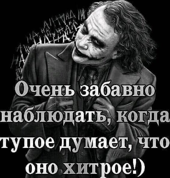 335 Оченъ забав набііодатй когда тупое ду1г1ает Что оно хитрое