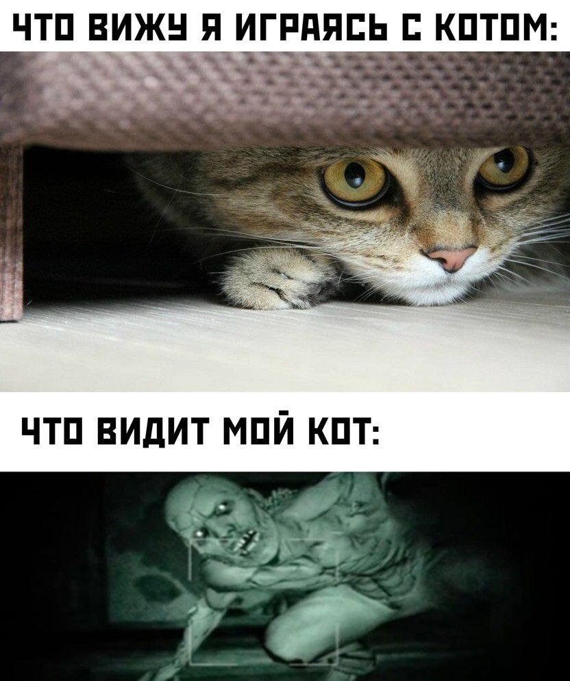 ЧТП ВИЖН Я ИГРППЕЬ Г КПТПМ