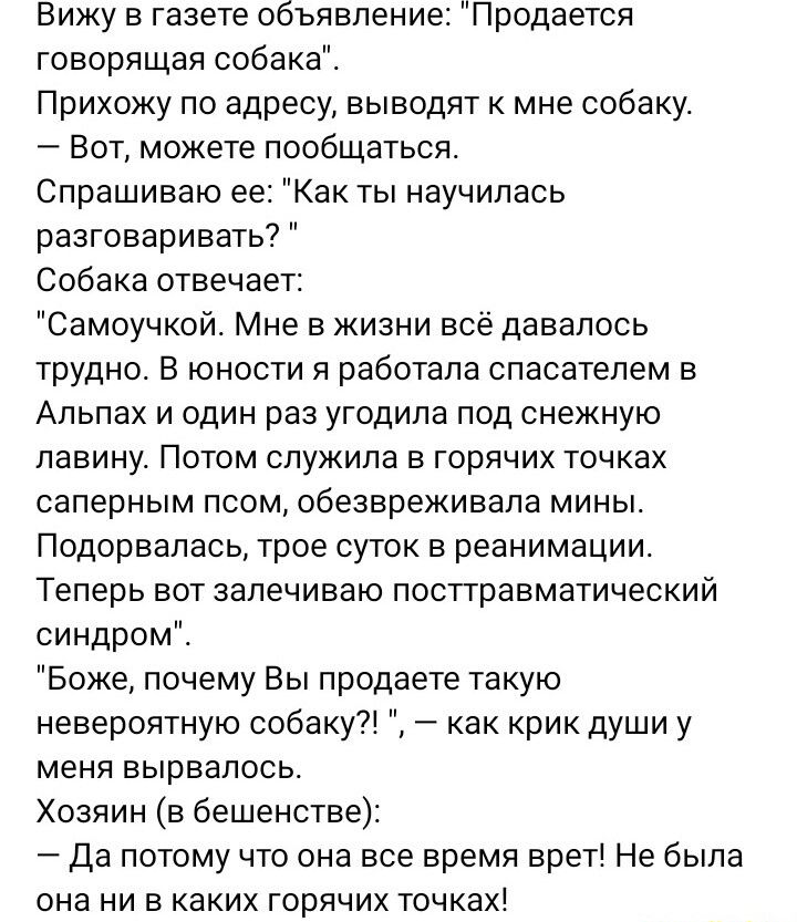 Вижу в газете обьявление Продается говорящая собака Прихожу по адресу выводят мне собаку Вот можете пообщаться Спрашиваю ее Как ты научилась разговаривать Собака отвечает Самоучкой Мне в жизни все давалось трудно В юности я работала спасателем в Альпах и один раз угодила под снежную лавину Потом служила в горячих точках саперным псом обезвреживала мины Подорвалась трое суток в реанимации Теперь во