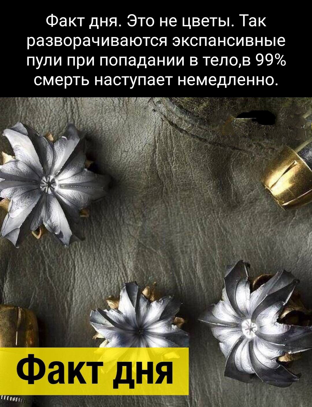 Факт дня Это не цветы Так разворачиваются экспансивные пули при попадании в тепов 99 смерть наступает немедленно