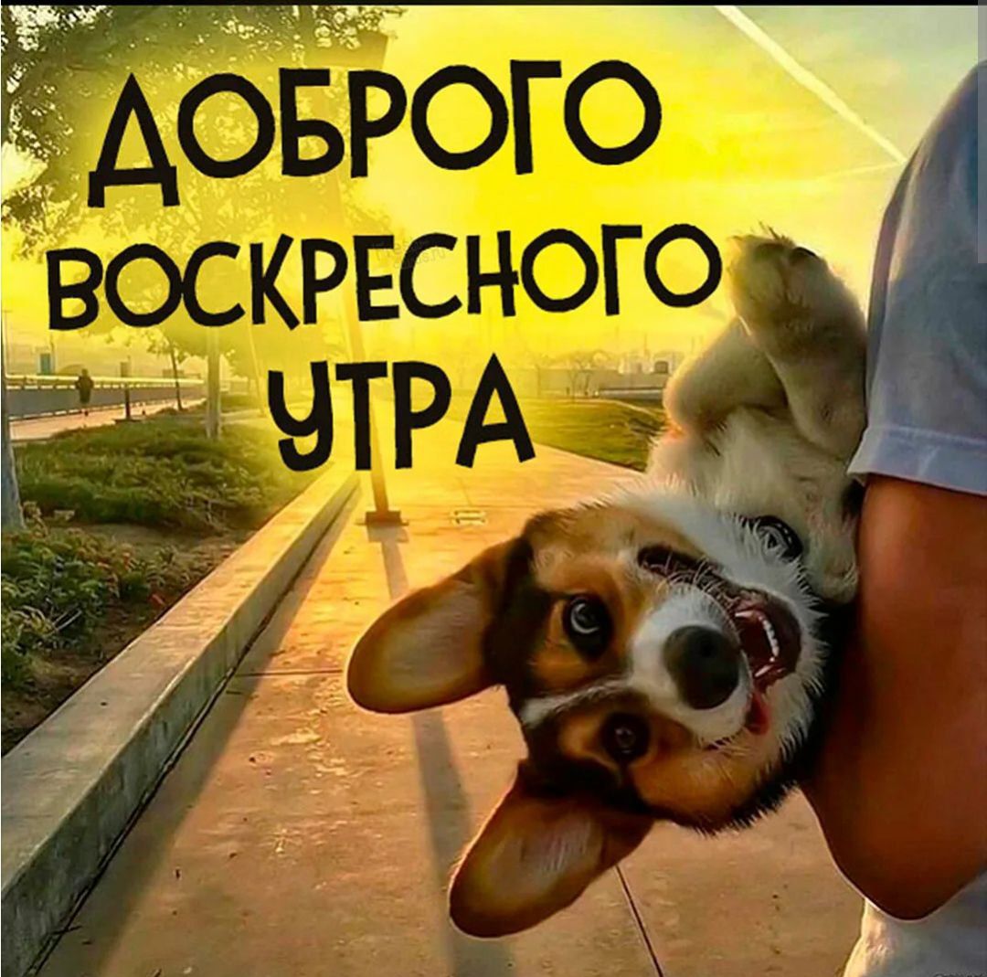 РОГО ВОСКРЕСНОГО