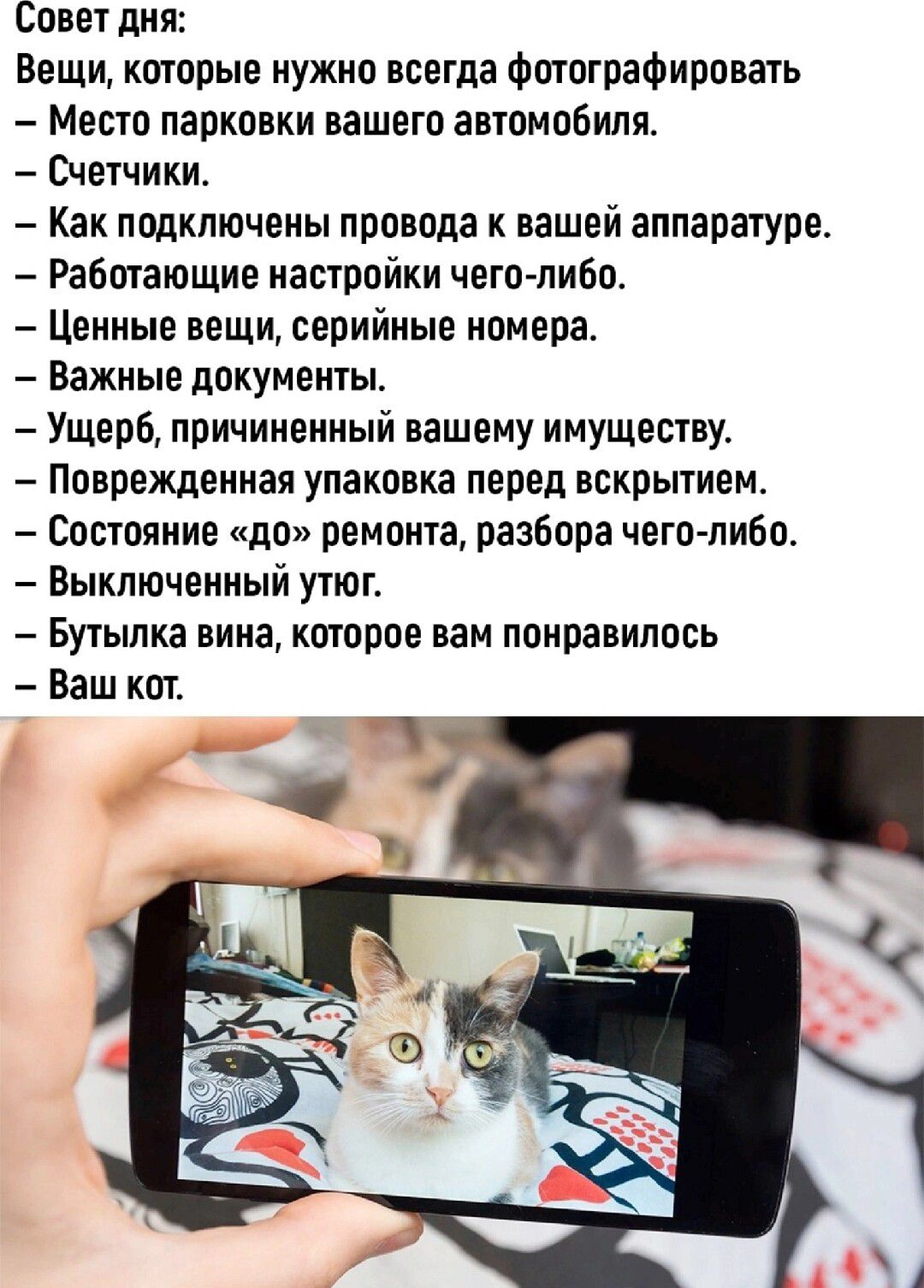 Совет дня Вещи которые нужно всегда Фшографнровагь Место парковки вашего автомобиля Счетчики Как подключены провода к вашей аппаратуре Работающие настройки чего либо Ценные вещи серийные номера Важные дпкументы Ущерб причиненный вашему имуществу Ппврежденная упаковка перед вскрытием Состояние до ремонта разбора чего либа Выключенный утюг Бутылка вина кшпрпе нам ппнравнпось Ваш кпт