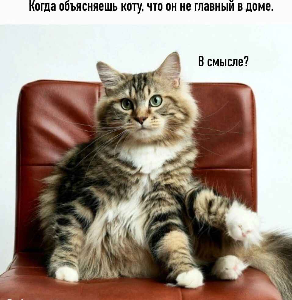а 0ЪИШПЕШЬ КОТУ ЧТП 0 НЕ ГЛЗВНЫИ П ППМЕ В смысле