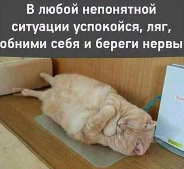 В любой непонятной ситуации успокойся ляг обними себя и береги нервы