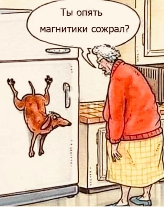 Ты опять МаГНИТИКИ СОЖРЗЛ