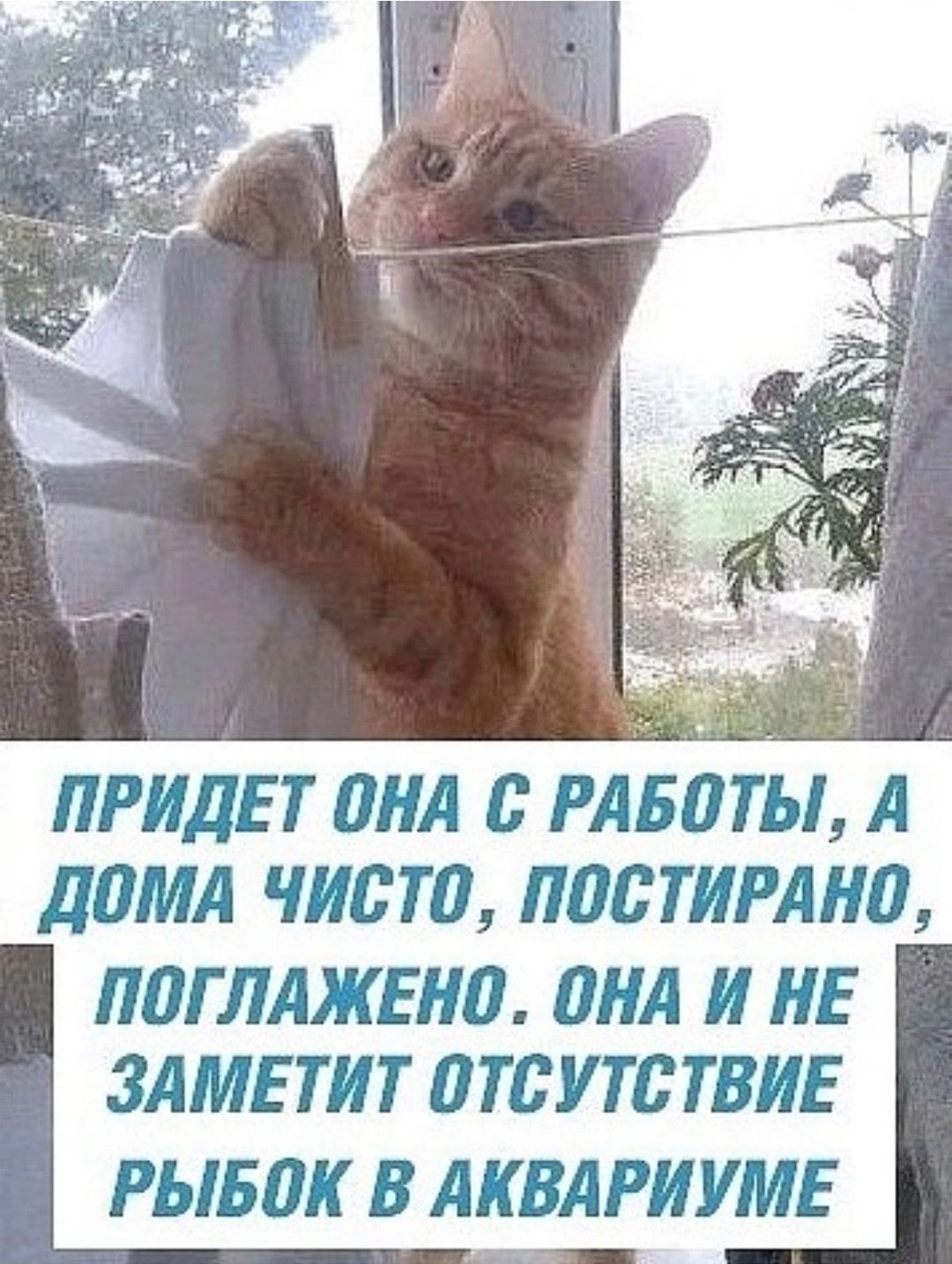 ПРИДЕТ ПНА В РАБП ТЫ А ДПМД ЧИЬТП ППСТИРАНП ППГЛАЖЕНП ПНД И НЕ ЗАМЕТИТ ПТВУТЬТБИЕ РЫБПК В АКВАРИУМЕ