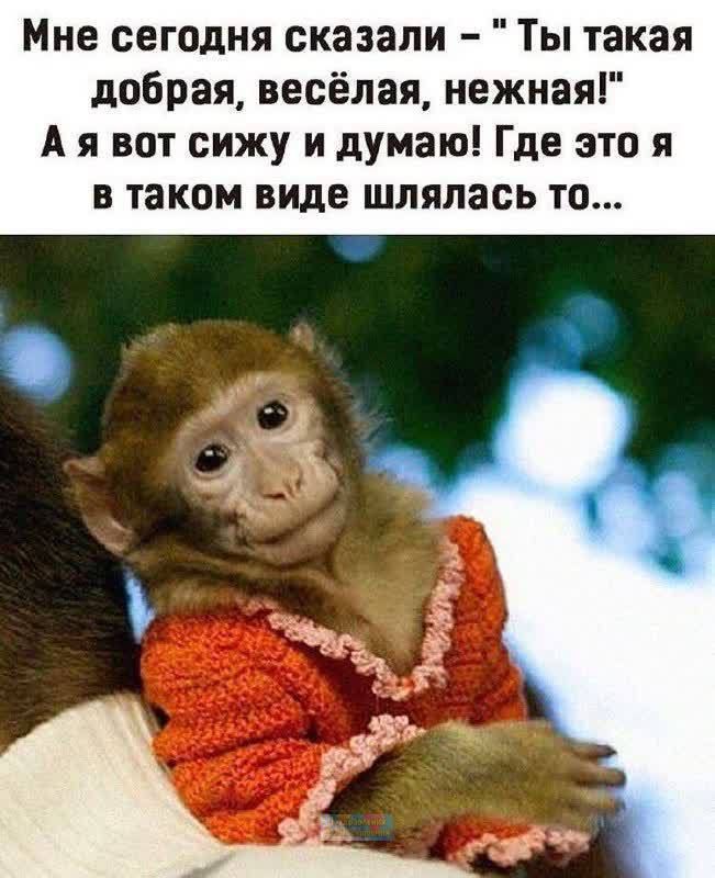 Мне сегодня сказали Ты такая добрая весёлая нежная А я вот сижу и думаю Где это я в таком виде шляпась то