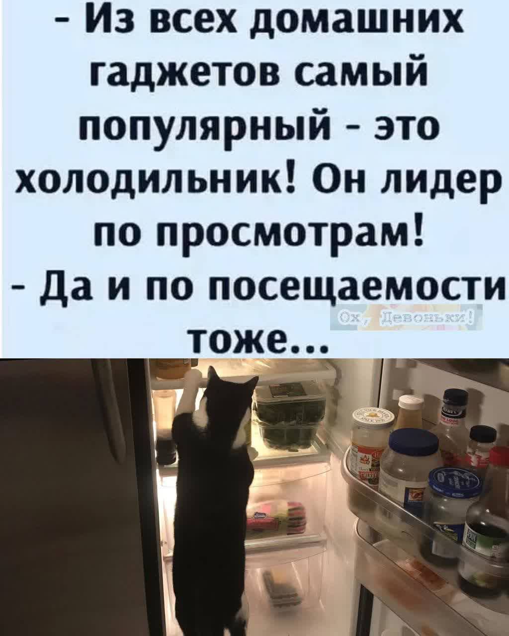 Из всех домашних гаджетов самый популярный это холодильник Он лидер по просмотрам да и по посещаемости Тоже