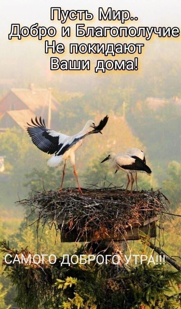 ьщрэ ПиПБ ТЧ ВаШЮд