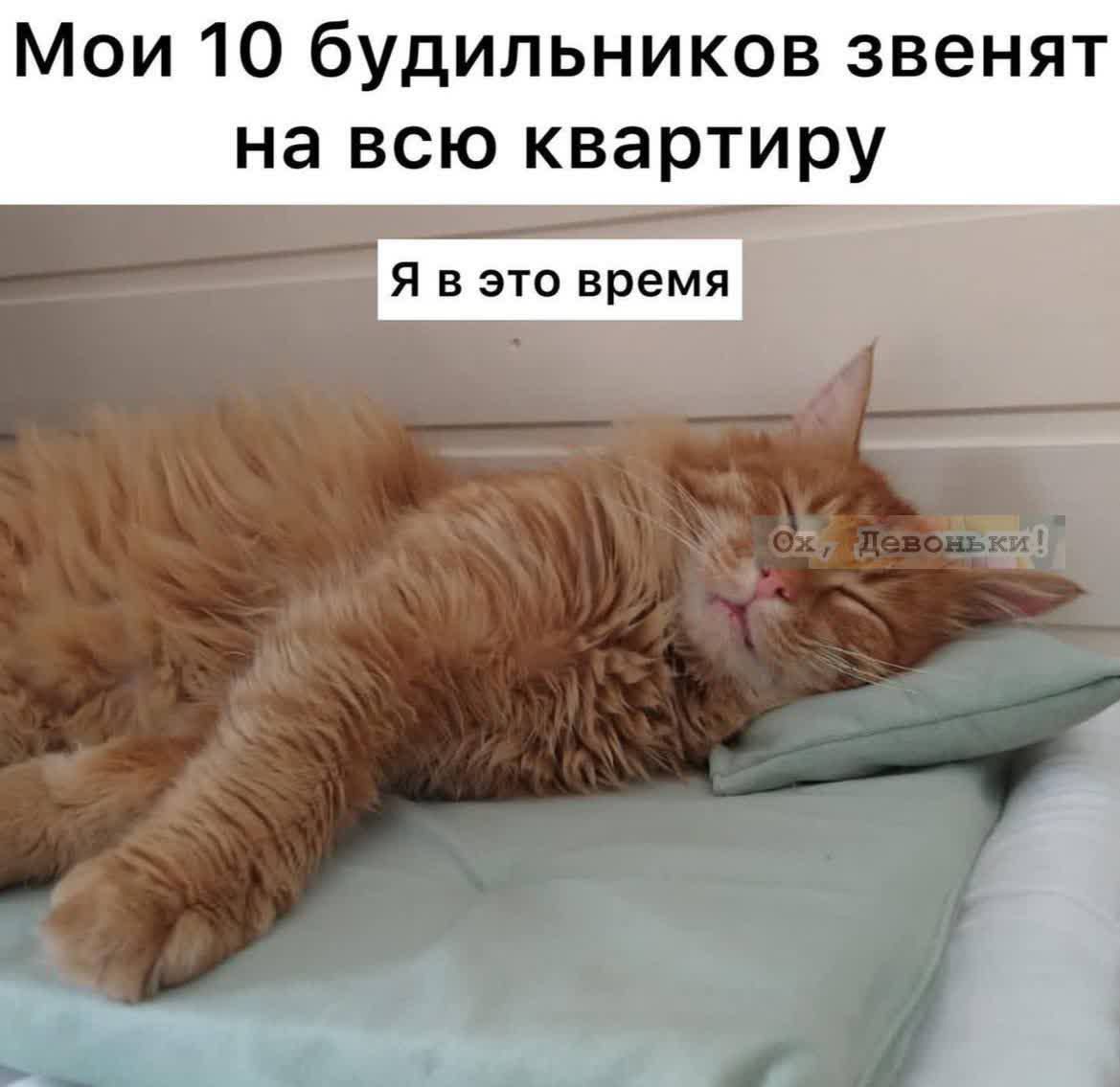 Мои 10 будильников звенят на всю квартиру