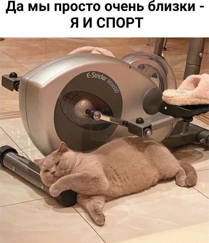 да мы просто очень близки Я И СПОРТ