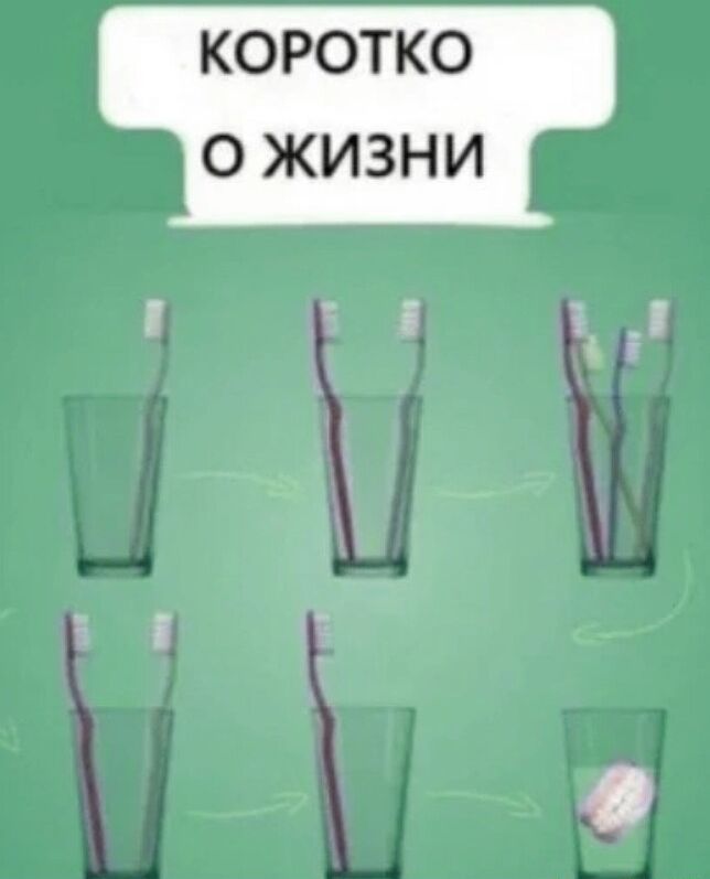 КОРОТКО О ЖИЗНИ 3