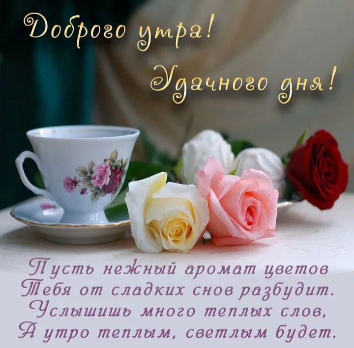 УРОВО дифа ИЦ 080 ней 9