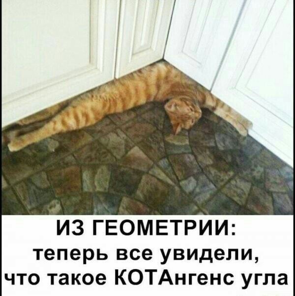 из ГЕОМЕТРИИ теперь все увидели что такое КОТАнгенс угла