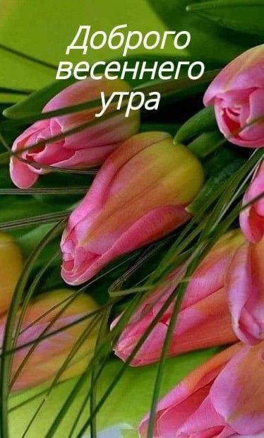 Доброгд в еннего _