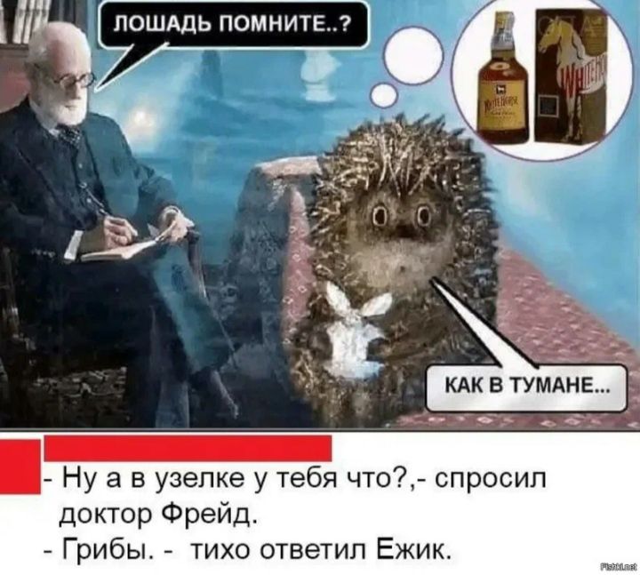 Ну а в узепке у тебя что спросил доктор Фрейд Грибы тихо ответил Ежик