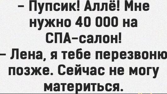 Пупсик Аллё Мне нужно 40 000 на СПА салон Лена я тебе перезвоню позже Сейчас не могу материться __