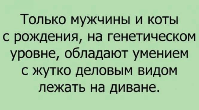 Только мужчины и коты с рождения на генетическом уровне обладают умением с жутко деловым видом лежать на диване