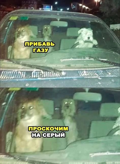 ПРООКОЧЦМ Ш СЕРЫЙ