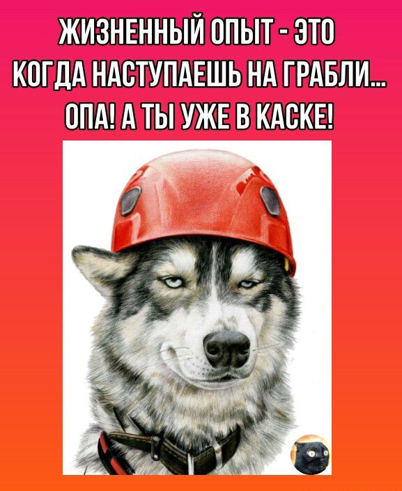 Ш ШТПЫЁЗ