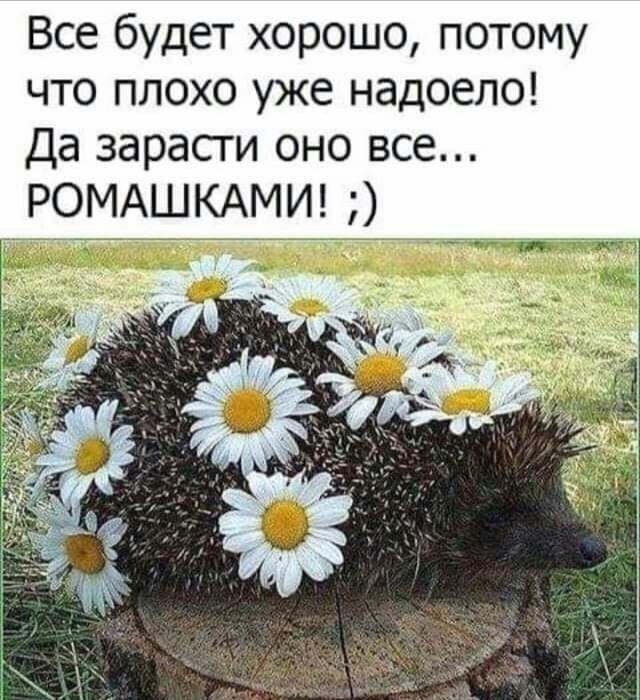 Все будет хорошо потому что плохо уже надоело Да зарасги оно все РОМАШКАМИ