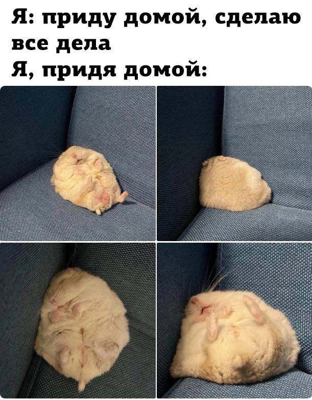 Я приду домой сделаю все дела Я придя домой