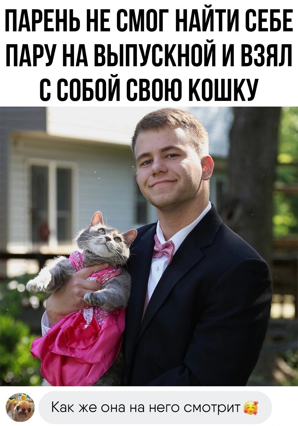 пдрннь несмог ндйпи СЕБЕ пдру нд выпускном и взял ссовои свои кошку Как же она на нет смотрит