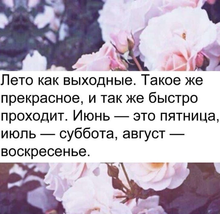 Жо Лето как выходные Такое же прекрасное и так же быстро проходит Июнь это пятница июль суббота август воскресенье