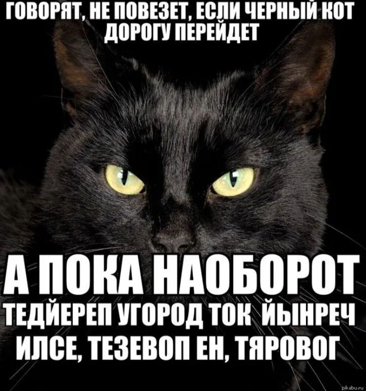 ГШЮРЯТ ППВЩЕТ ШШ ЧЕРНЫЙ ШП дШПП ПЕРЕИдЕТ Ъ 0 д понд ШШБШШ ТЕДЙЕРШ УШЮД тои ЙЫШЕЧ ИПЦ 330 Е ТПРПВПГ