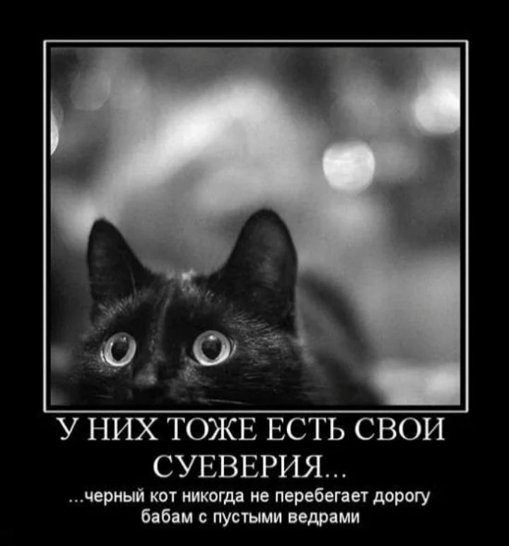 У НИХ ТОЖЕ ЕСТЬ СВОИ СУЕВЕРИЯ чериый как тот ие перебегпт дорогу бпбаи лупили ведрами