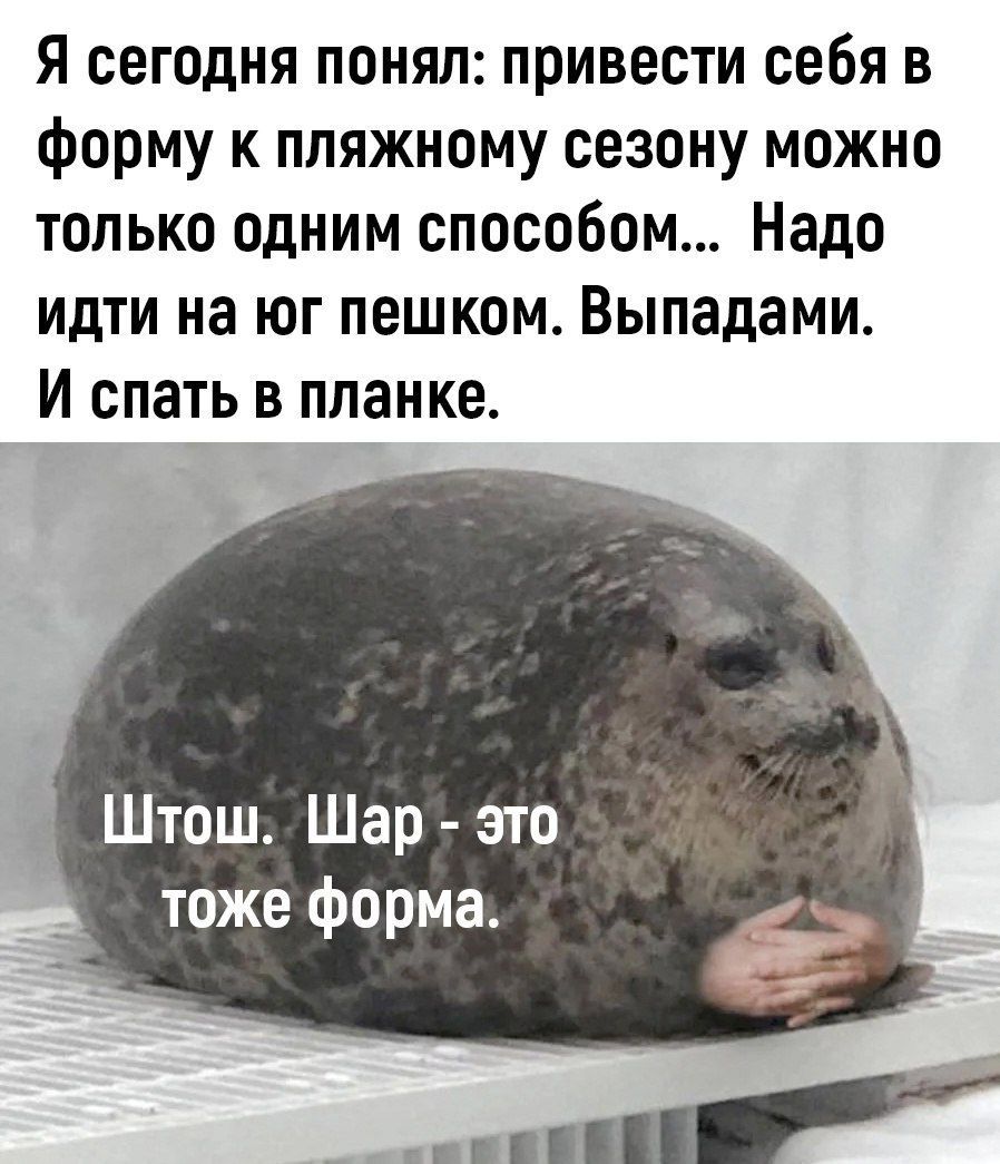 Я сегодня понял привести себя в форму к пляжному сезону можно только одним способом Надо идти на юг пешком Выпадами И спать в планке _ Штош Шар это тоже форма