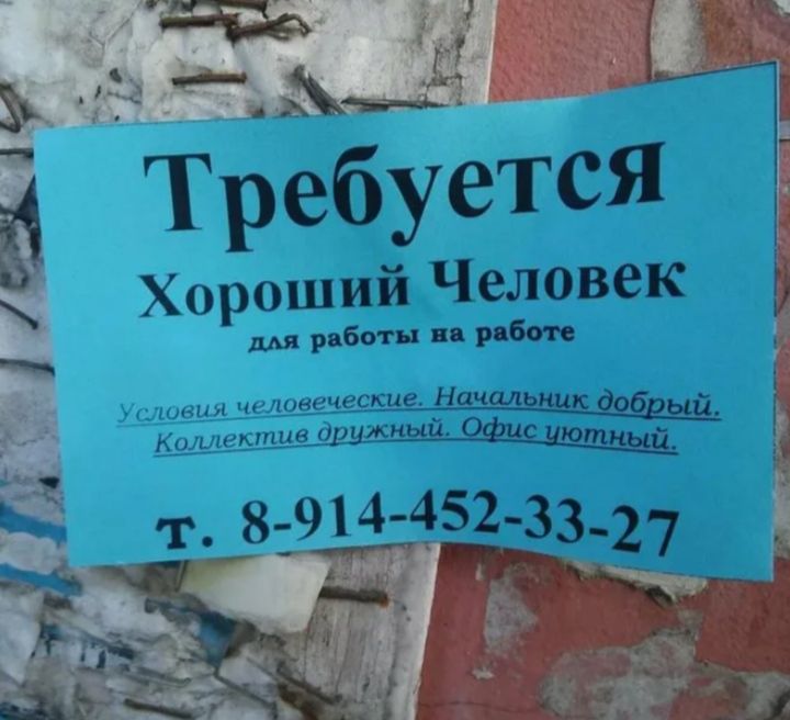 _ д 2 Требуется хорош Чжвек