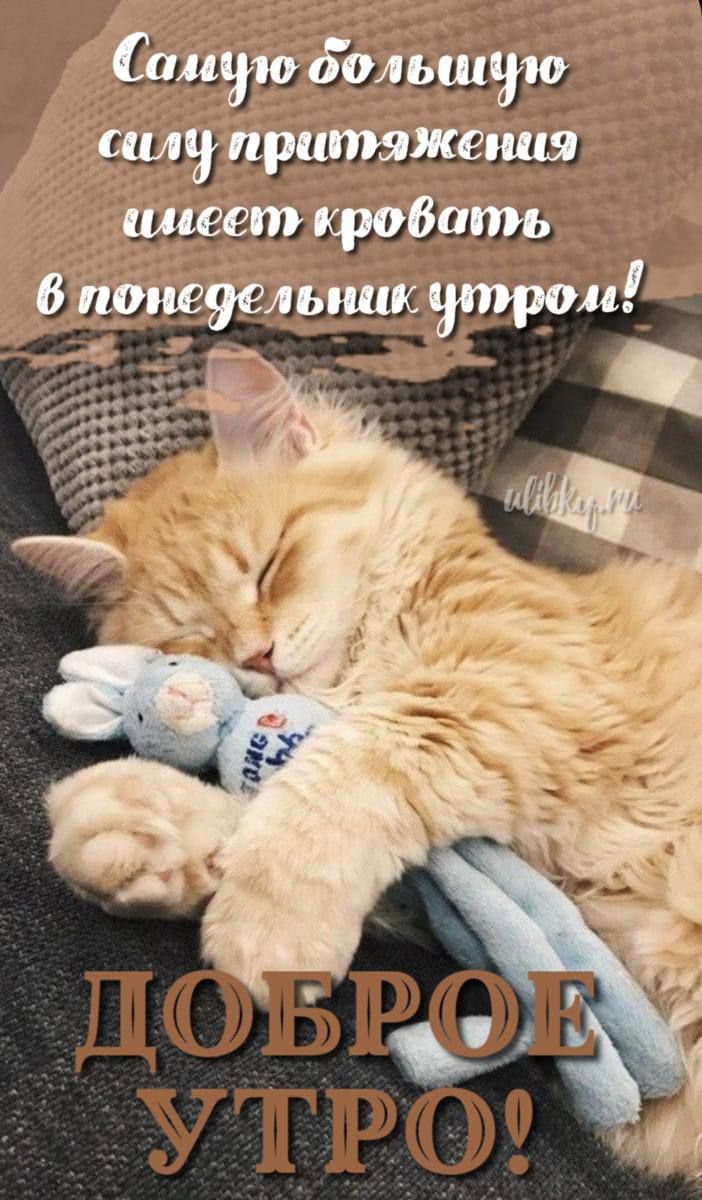 ішдш дмюшуш мы шилищщш миг ги щадить днн