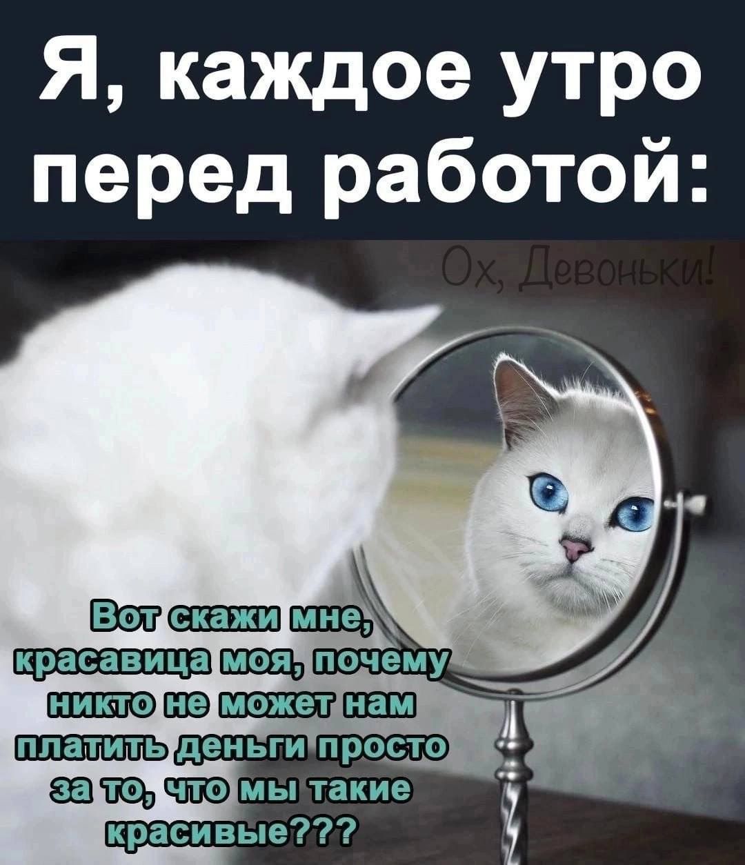 Я каждое утро перед работой