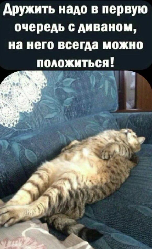 дружить надо в первую очередь с диваном на него всегда можно появиться