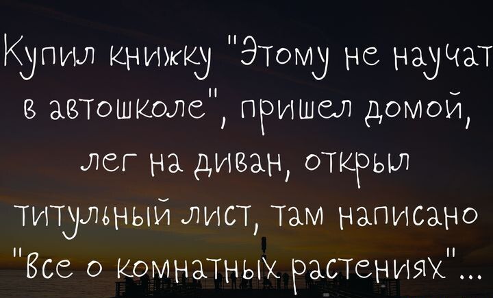 Купил кыижкд Этому не научи автошюле пришел домои лег на диван открыл титульныи лист Там написано Все о комнатных растениях