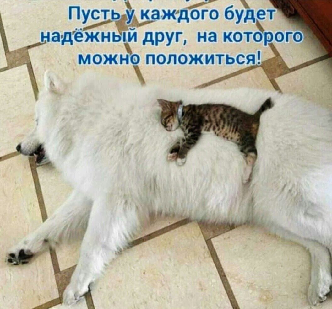 Пусть каждого бу ет адёжн йдруг на кот можи положиться
