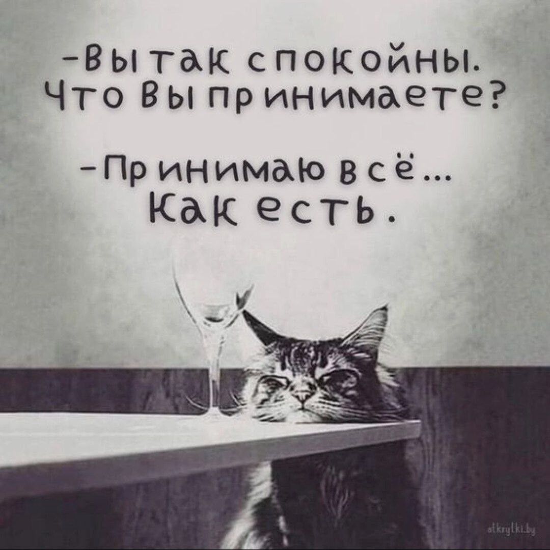 3ы так спокойны Что Вы пр инимаете Пр инимыо все Как есть